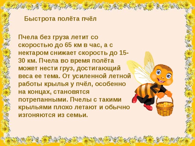 Пчела составить предложение. Интересные факты о пчелах. Проект про пчел. Пчела друг человека. Заключение про пчел.
