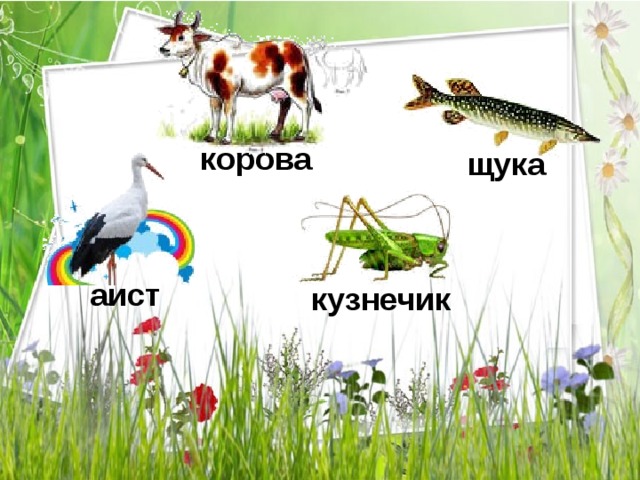 корова щука аист кузнечик 