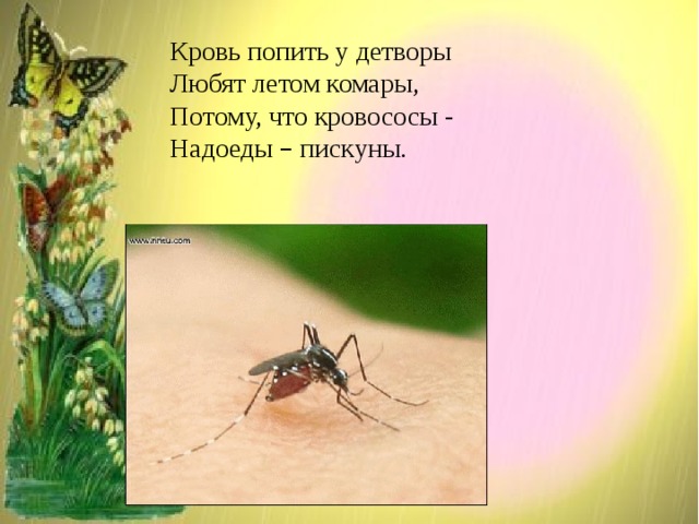 Кровь попить у детворы Любят летом комары, Потому, что кровососы - Надоеды – пискуны. 
