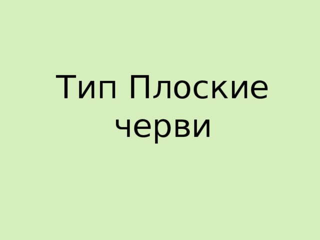 Тип Плоские черви 