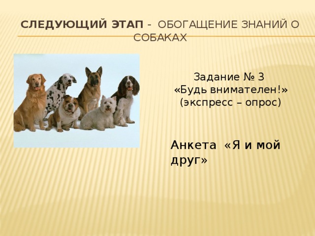 Следующий этап - обогащение знаний о собаках Задание № 3  «Будь внимателен!» (экспресс – опрос) Анкета «Я и мой друг»   