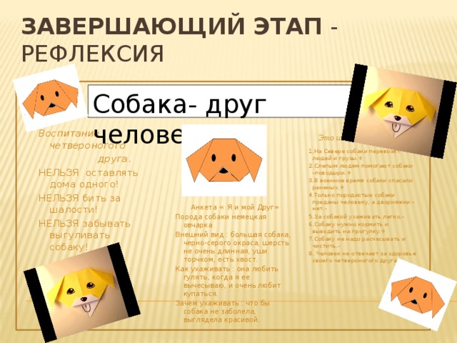 Завершающий этап - рефлексия Собака- друг человека! Воспитание четвероногого  друга .  Это интересно НЕЛЬЗЯ оставлять дома одного! НЕЛЬЗЯ бить за шалости! 1.На Севере собаки перевозят людей и грузы.+ НЕЛЬЗЯ забывать выгуливать собаку! 2.Слепым людям помогают собаки –поводыри.+ 3.В военное время собаки спасали раненых.+ 4.Только породистые собаки преданы человеку, а дворняжки –нет.- 5.За собакой ухаживать легко.- 6.Собаку нужно кормить и выводить на прогулку.+ 7.Собаку не надо расчесывать и чистить.- 8. Человек не отвечает за здоровье своего четвероногого друга.-  Анкета « Я и мой Друг» Порода собаки немецкая овчарка Внешний вид : большая собака, черно-серого окраса, шерсть не очень длинная, уши торчком, есть хвост. Как ухаживать : она любить гулять, когда я ее вычесываю, и очень любит купаться. Зачем ухаживать : что бы собака не заболела, выглядела красивой. 