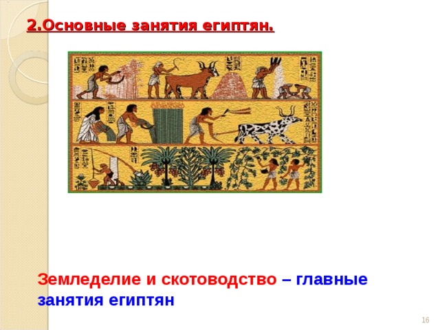 2.Основные занятия египтян.   Земледелие и скотоводство  – главные занятия египтян   