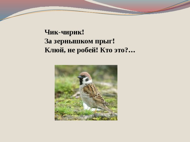 Песня воробей чик чик. Воробей Чик чирик. Немножечко Чик чирик.