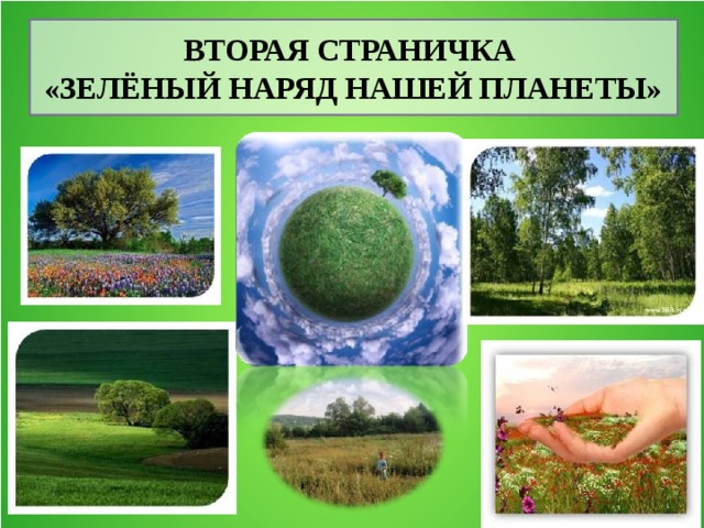Проект сохраним зеленый наряд самарский области