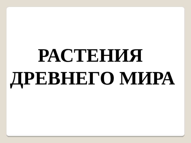 РАСТЕНИЯ ДРЕВНЕГО МИРА 