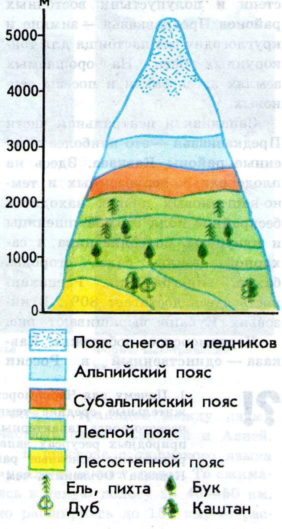 Смена поясов в горах. Природные. Зоны Высотная поясность Северного Кавказа. Природные зоны Кавказа Высотная поясность. Схема ВЫСОТНОЙ поясности гор Кавказа. Схема ВЫСОТНОЙ поясности Северного Кавказа.