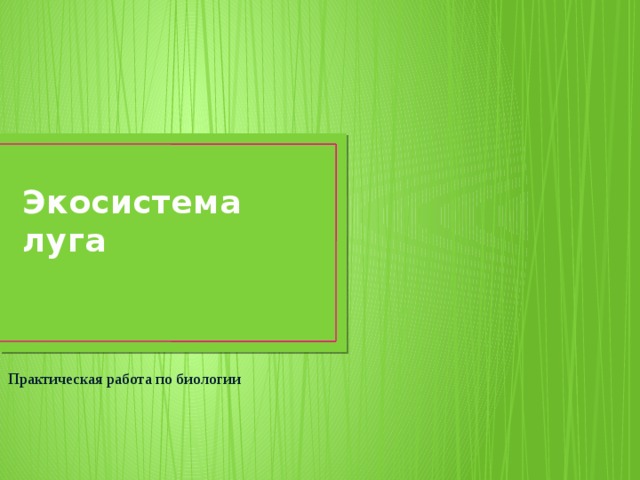 Экосистема луга презентация