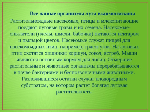 Живой зависеть. Какие организмы составляют луг. Живые организмы Луга. Какие организмы составляют в лугу. Организмы сообщества Луга.