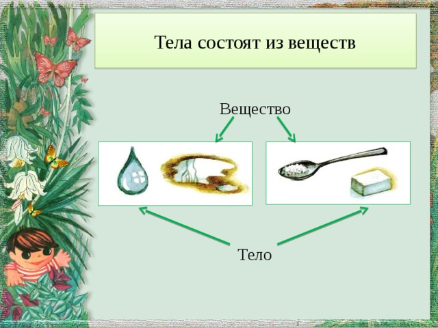 Организмы состоят ответ