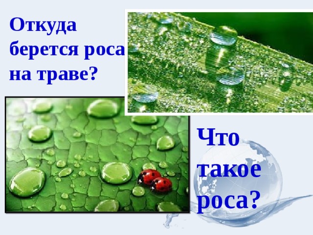 Какая бывает вода на траве. Откуда берется роса. Откуда появляется роса для детей. Откуда берется роса на траве. Роса объяснение для детей.