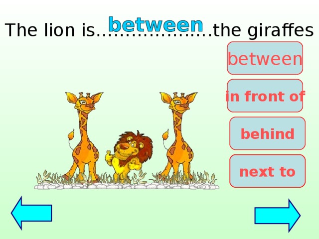 The lion is…………….….the giraffes between in front of behind next to 