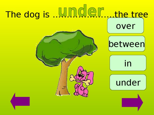 The dog is ………………....the tree over between in under 