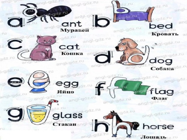 Ant транскрипция и перевод