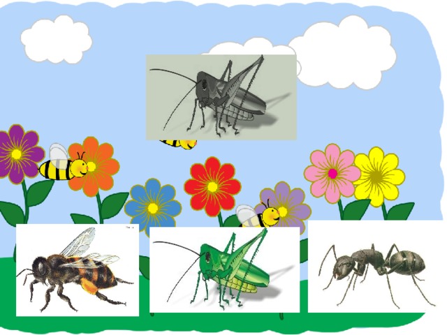 Дидактические игры насекомые презентация