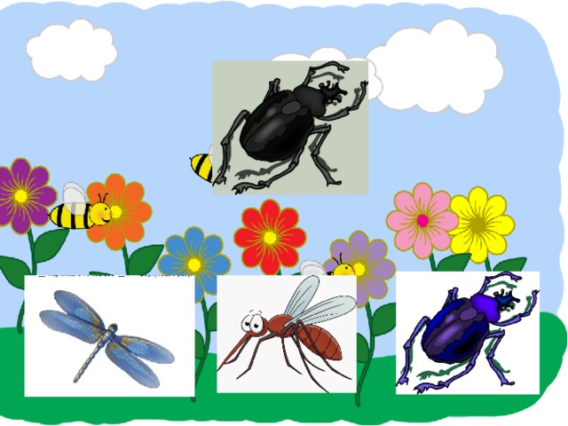 Дидактические игры насекомые презентация