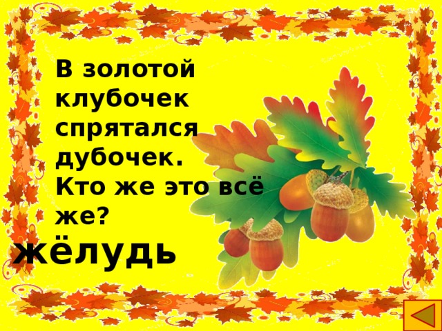 В золотой клубочек  спрятался дубочек.  Кто же это всё же? жёлудь 