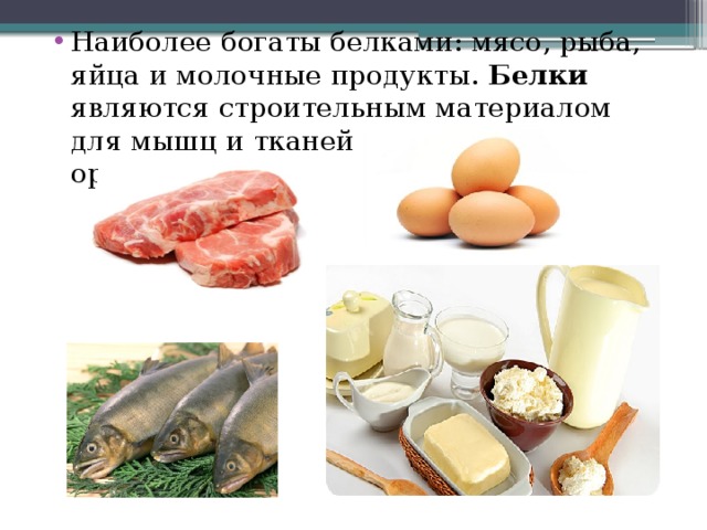 Белки в продуктах презентация