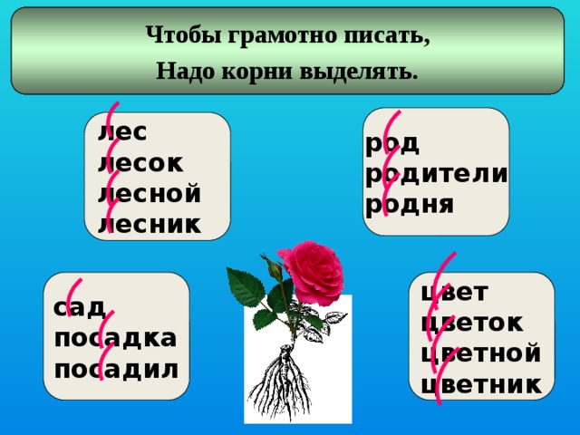 Цветок корень слова. Выделить корень в слове. Корень слова цветок. Цветок родственные слова. Слова с корнем цвет.