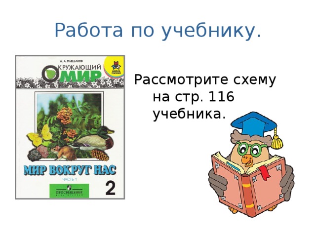 Работа по учебнику. Рассмотрите схему на стр. 11 6 учебника. 