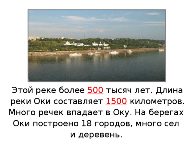 Этой реке более 500 тысяч лет. Длина реки Оки составляет 1500 километров. Много речек впадает в Оку. На берегах Оки построено 18 городов, много сел и деревень. 