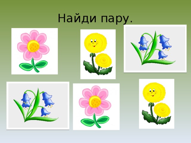 Найди пару март. Цветы разных цветов для детей. Найди пару цветы. Дидактическая игра Найди пару. Найди пару для детей.