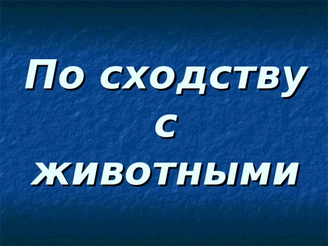 По сходству с животными