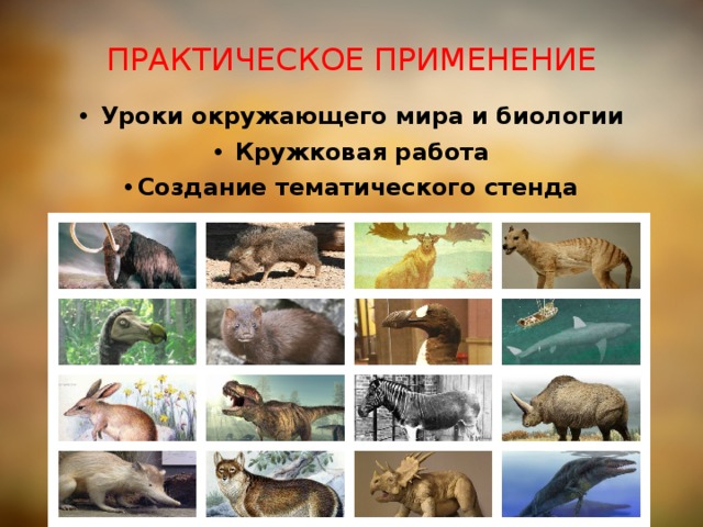 ПРАКТИЧЕСКОЕ ПРИМЕНЕНИЕ