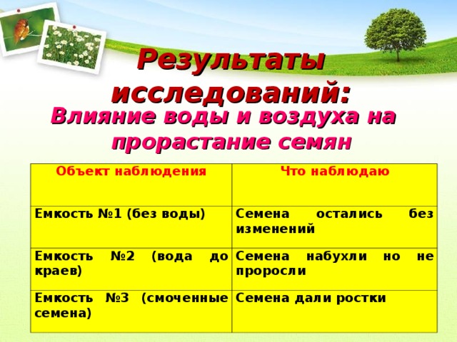 Результаты исследований: Влияние воды и воздуха на прорастание семян Объект наблюдения Емкость №1 (без воды) Что наблюдаю Емкость №2 (вода до краев) Семена остались без изменений Семена набухли но не проросли Емкость №3 (смоченные семена) Семена дали ростки