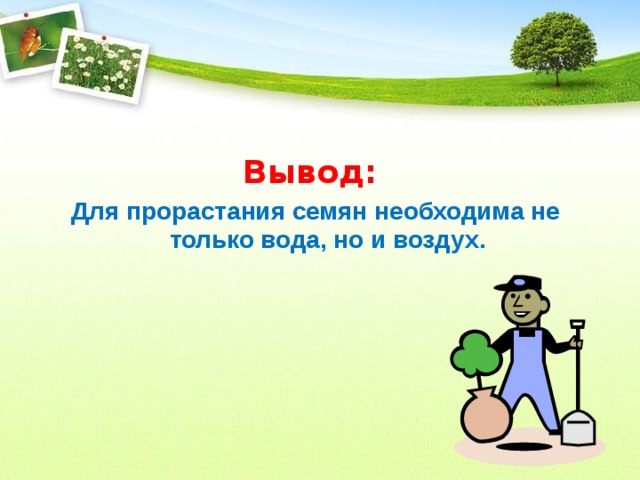 Вывод: Для прорастания семян необходима не только вода, но и воздух.  