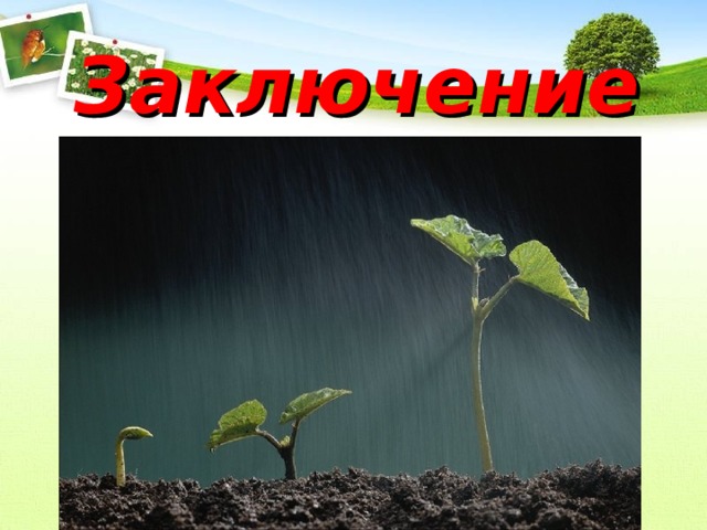 Заключение