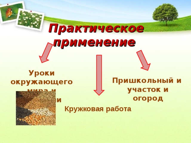 Практическое применение Уроки окружающего мира и биологии Пришкольный и участок и огород Кружковая работа