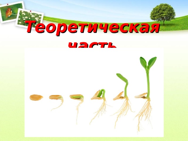 Теоретическая часть