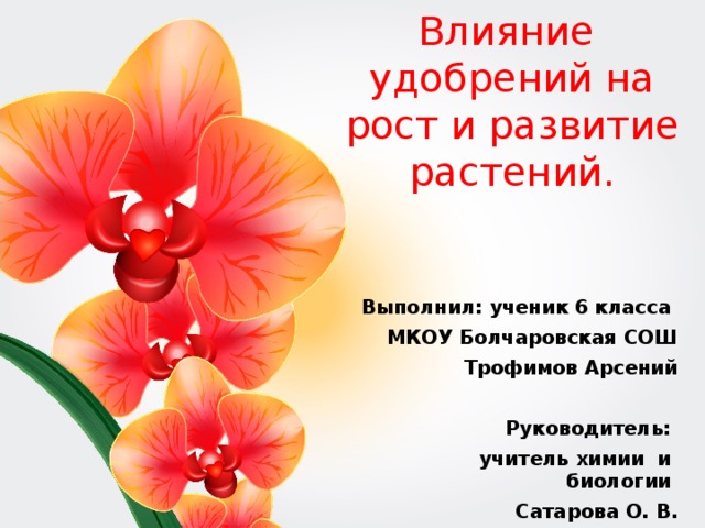 Презентация на тему "Изучение влияния минеральных удобрений на рост гороха посев