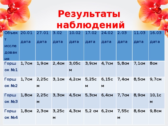 Результаты наблюдений Объект исследования Горшок №1 20.01 дата 1,7см Горшок №2 27.01 Горшок №3 1,9см 1,7см 3.02 дата дата 1,8см 2,4см Горшок №4 10.02 2,25см 1,8см 2,25см 3,05см 3,1см 17.02 дата 3,9см 3,3см дата 4,2см 2,3см 24.02 дата 2.03 4,7см 5,25см 4,5см 3,25см дата 5,3см 5,8см 11.03 4,3см 6,15см 16.03 7,1см 7,4см 5,2 см 6,4см дата дата 7,7см 8см 8,5см 6,2см 8,9см 9,7см 7,55см 10,1см 8,6см 9,8см
