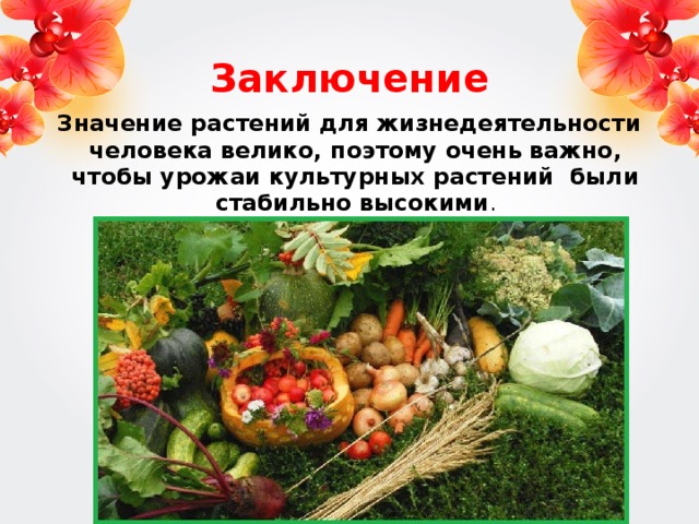 Культурное растение культурный человек