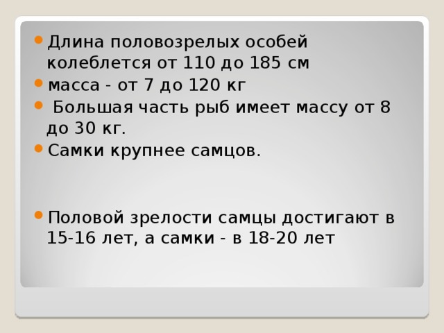 Длина половозрелых особей колеблется от 110 до 185 см масса - от 7 до 120 кг  Большая часть рыб имеет массу от 8 до 30 кг. Самки крупнее самцов.   Половой зрелости самцы достигают в 15-16 лет, а самки - в 18-20 лет  