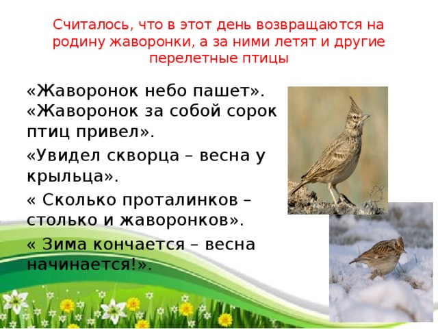 В бианки что увидел жаворонок когда вернулся на родину 2 класс 21 век презентация