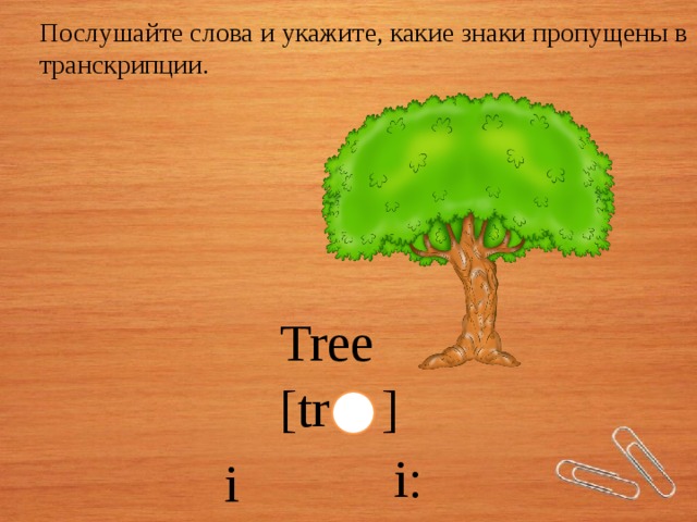 Характеристика слова дерево