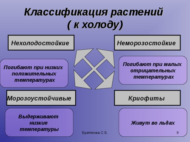 Классификация растений  ( к холоду) Нехолодостойкие Неморозостойкие Погибают при малых отрицательных  температурах Погибают при низких положительных  температурах Морозоустойчивые Криофиты Выдерживают низкие температуры Живут во льдах Братякова С.Б.  