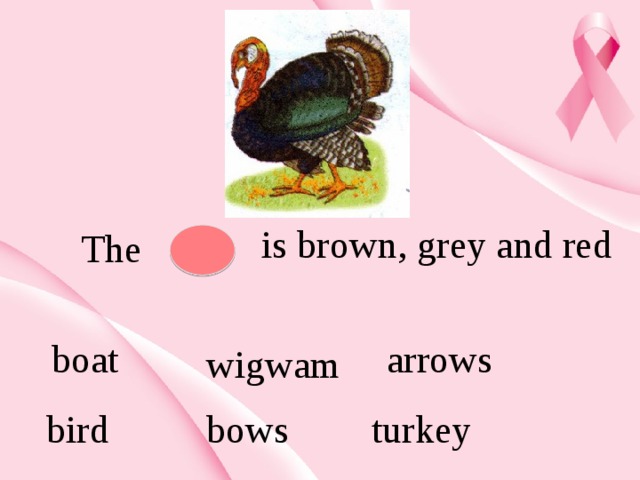 is brown, grey and red The  boat arrows wigwam bird bows turkey 