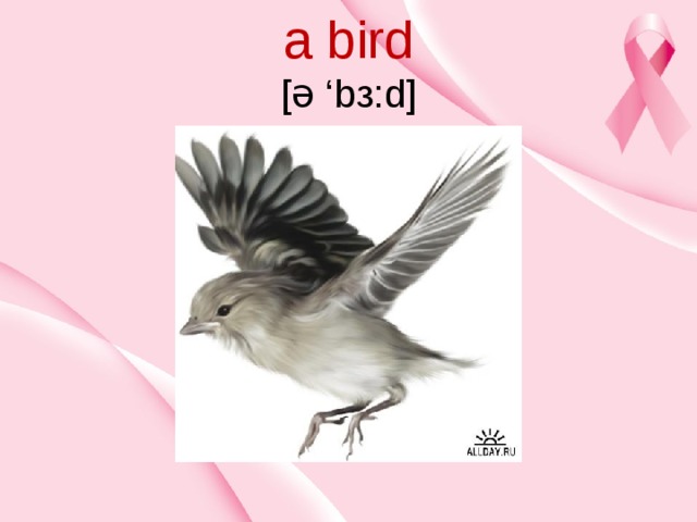 a bird  [ə ‘bз:d]   