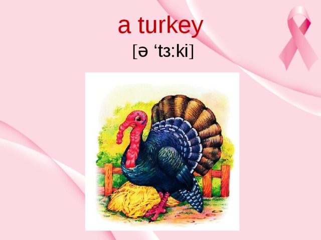 a turkey   [ ə ‘tз:ki ] 