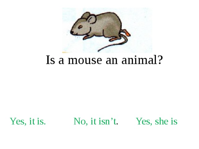Is a mouse an animal? Yes, it is. No, it isn’t . Yes, she is 