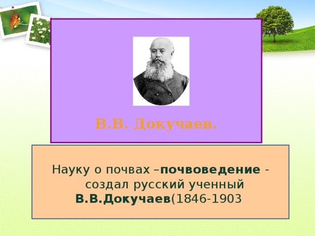 Какую почву докучаев назвал царем почв