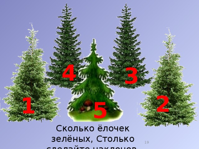 Пять елочек. Сколько елочек зеленых столько сделаем наклонов. 5 Зеленых елочек.