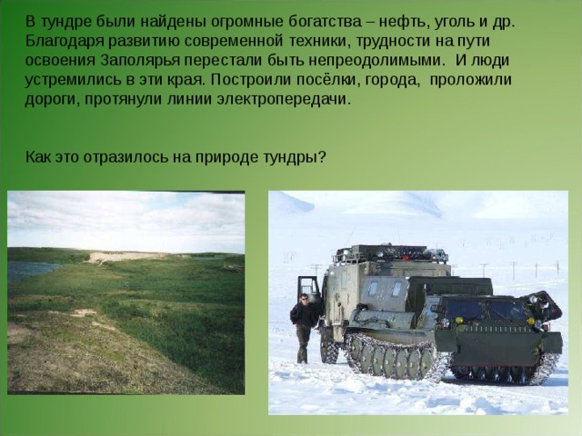 Экологические проблемы тундры. Хозяйственная деятельность тундры в России. Охрана природной зоны тундры.