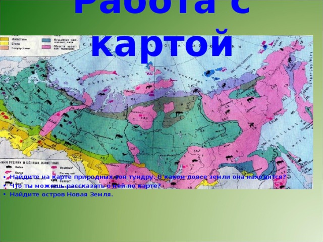 Зона тундры расположена между зоной и зоной. Карта природных зон. Карта природных зон России. Тундра на карте природных зон. Природные зоны карта по зонам.
