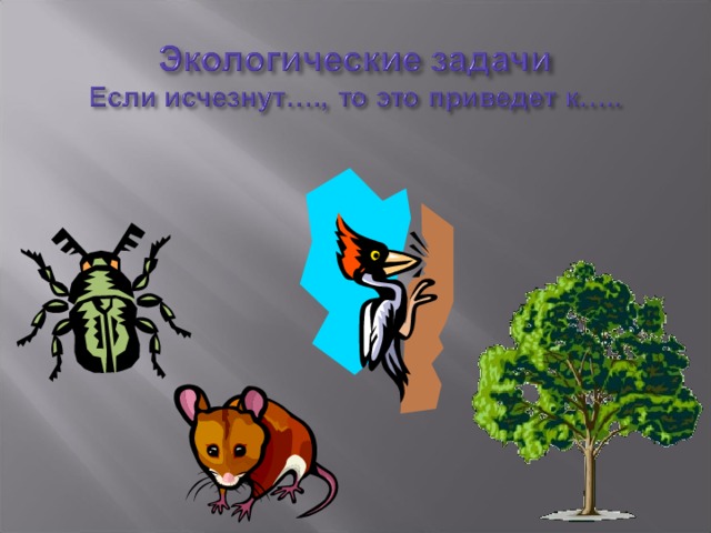 Модель невидимые нити 2 класс. Аппликация на тему невидимые нити в природе. Невидимые нити в природе с пауком. Невидимые нити в весеннем лесу паук. Воск для невидимых нитей.