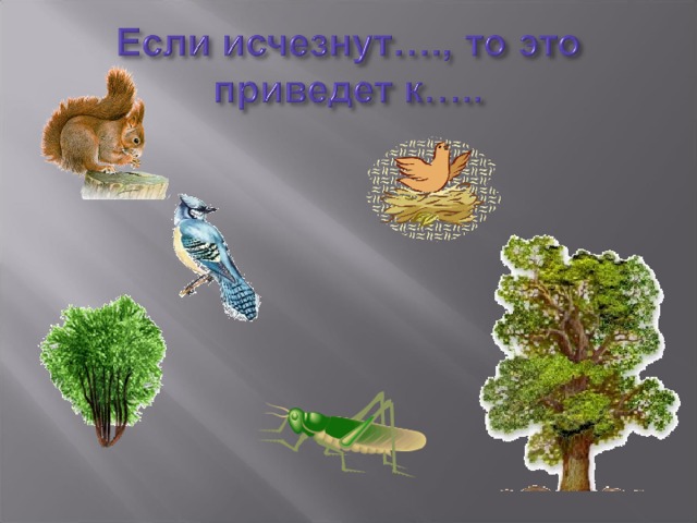 Урок невидимые нити. Модель связи в природе. Невидимые связи в природе окружающий мир. Модель невидимых связей в природе. Изображение связей с помощью моделей.